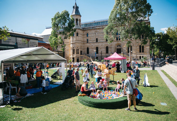 Children and families on the lawn of the South Australian Museum